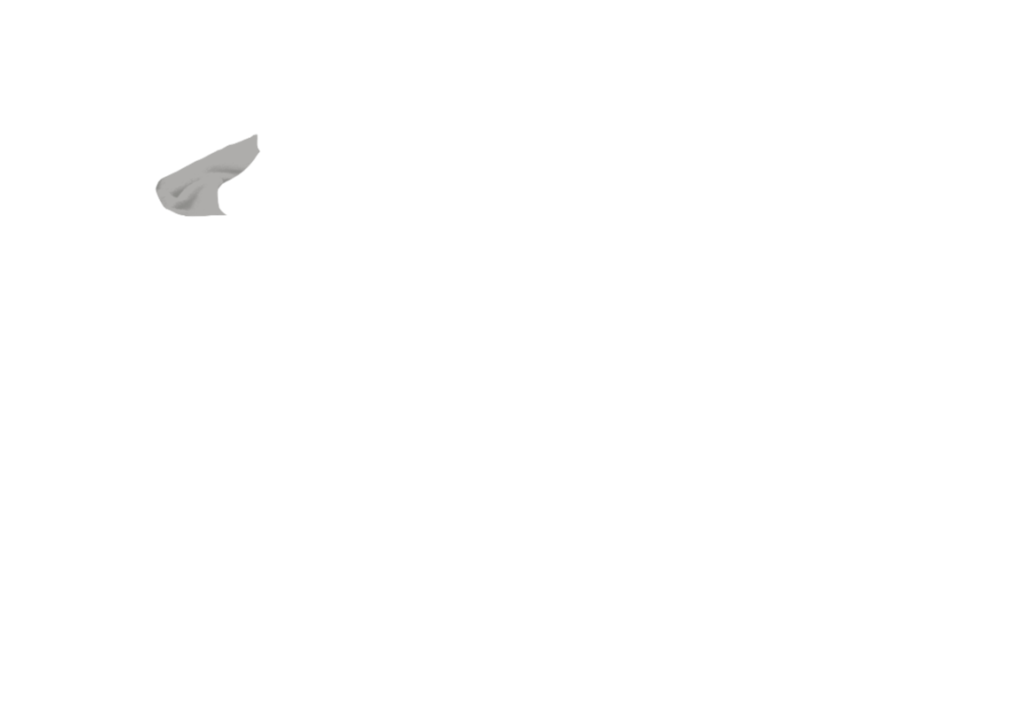 Jacke-02-BRFO.png