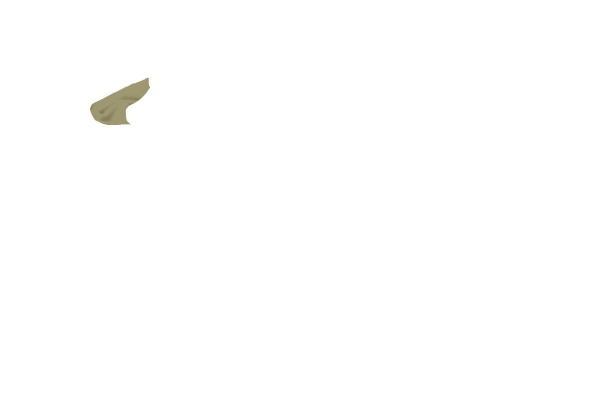Jacke-02-TAUP.png