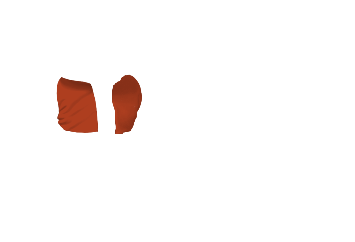 Jacke-03-AMBE.png