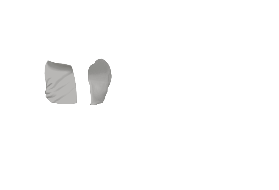 Jacke-03-BRFO.png