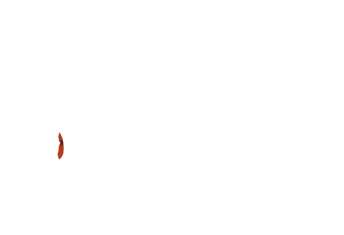 Jacke-05-AMBE.png
