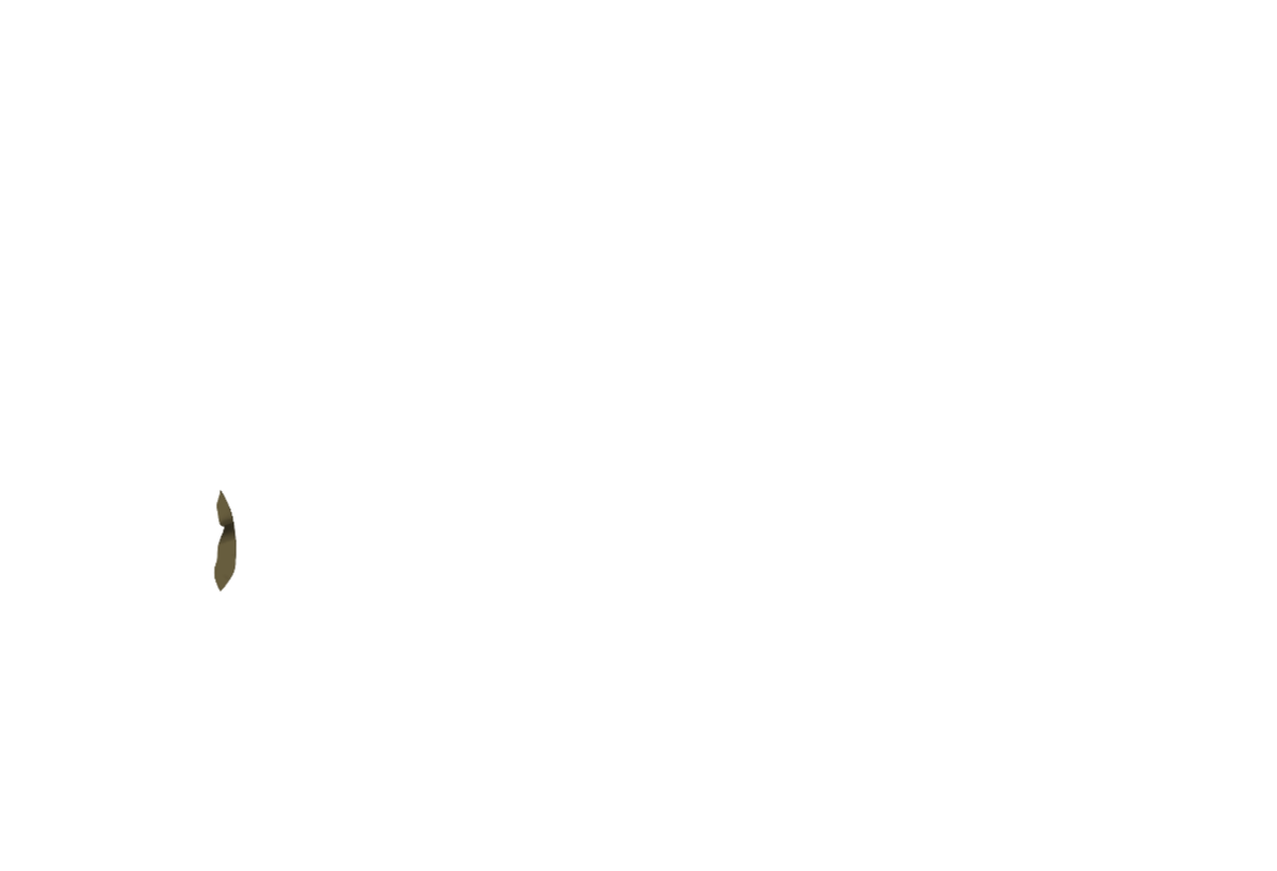 Jacke-05-ARTA.png