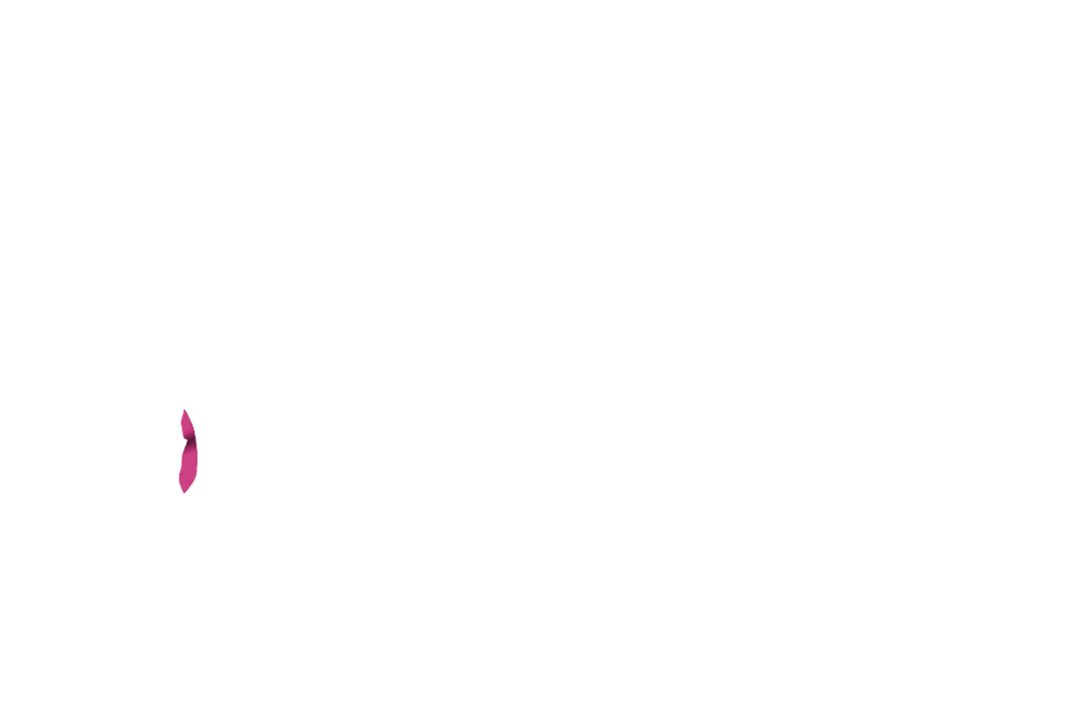 Jacke-05-JOY.png