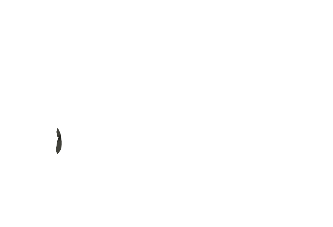 Jacke-05-ROWE.png