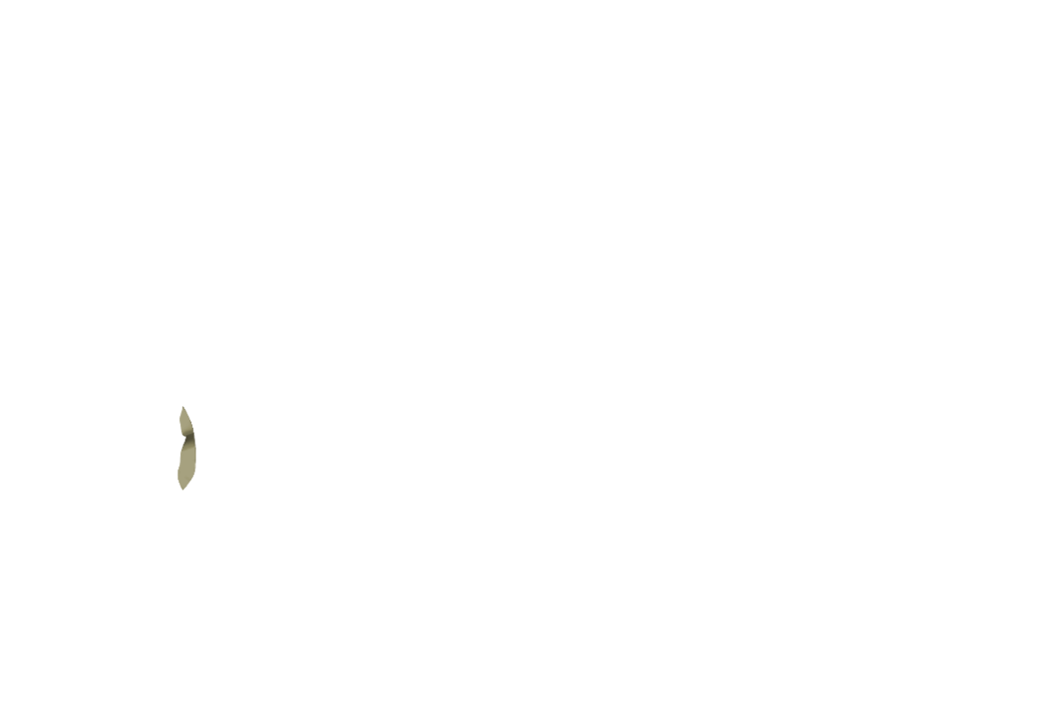 Jacke-05-TAUP.png
