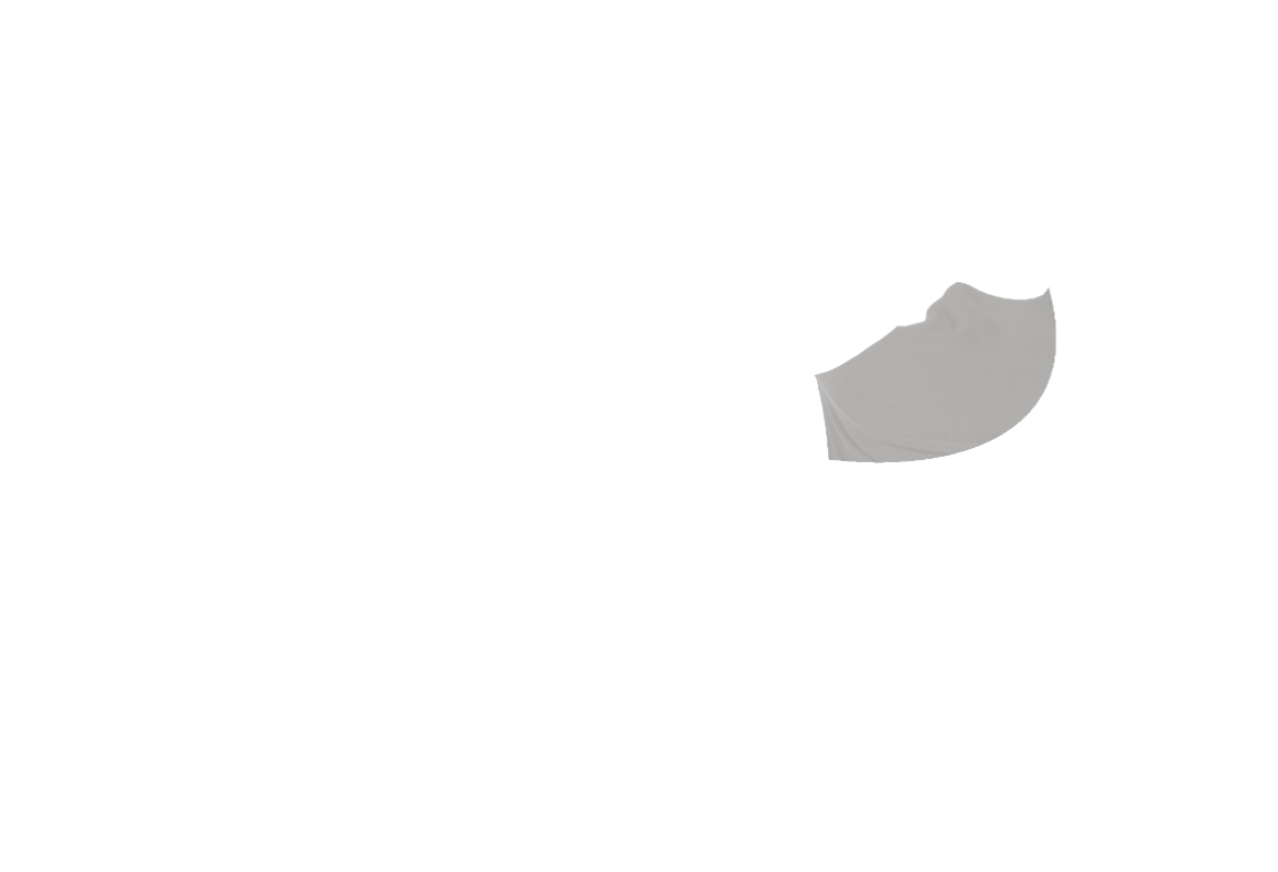Shirt-05-oben-BRFO.png