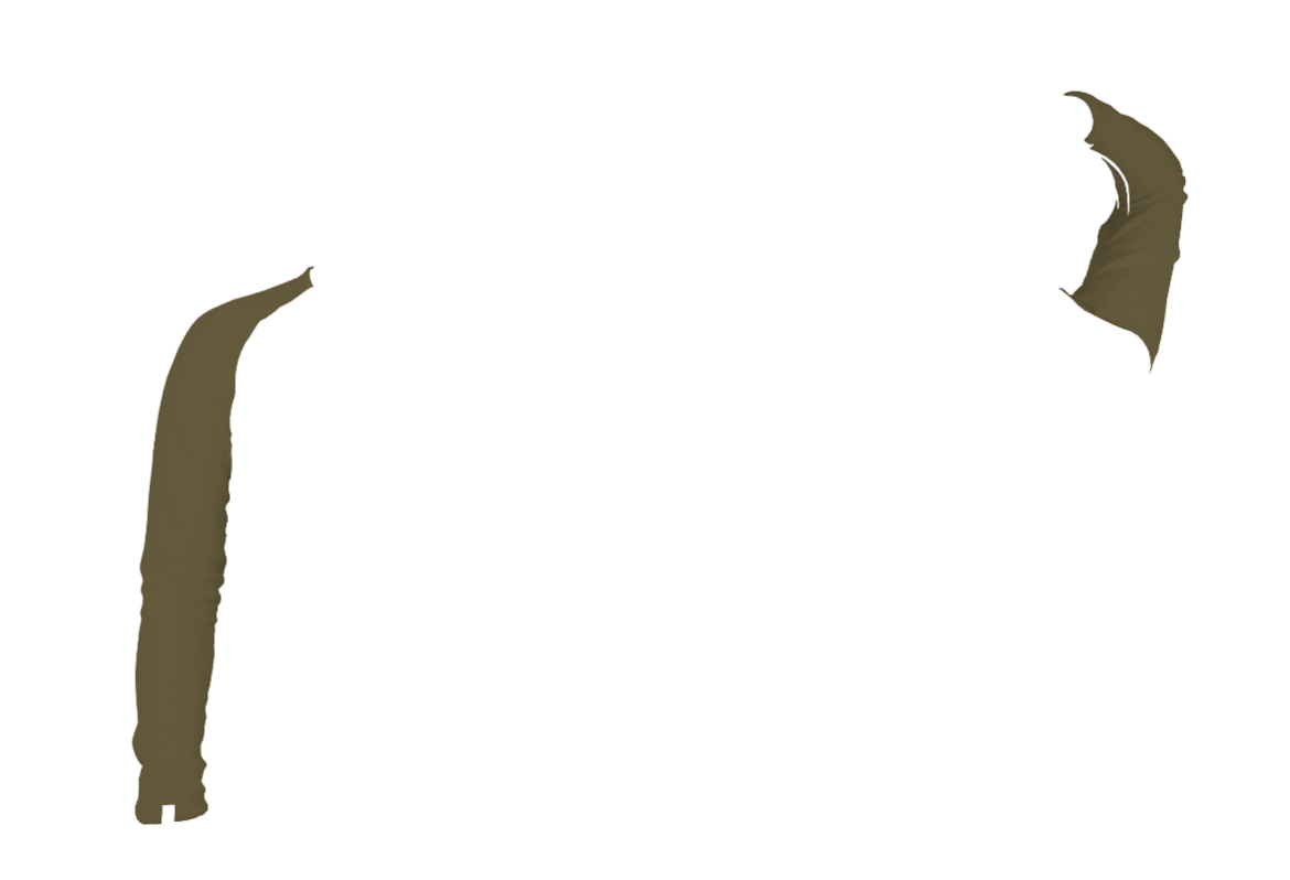Shirt-07-2C-rechts-ARTA.png