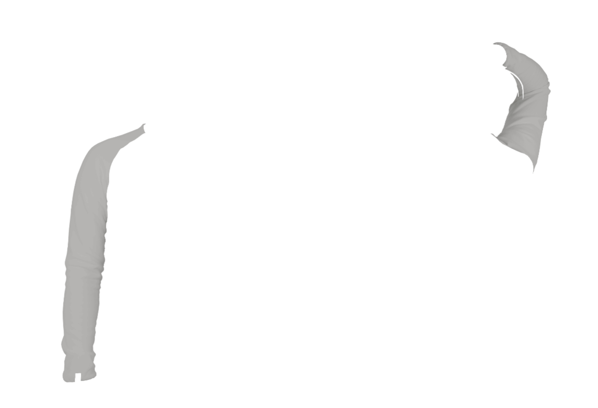 Shirt-07-2C-rechts-BRFO.png