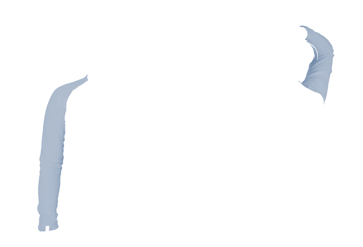 Shirt-07-2C-rechts-POBL.png
