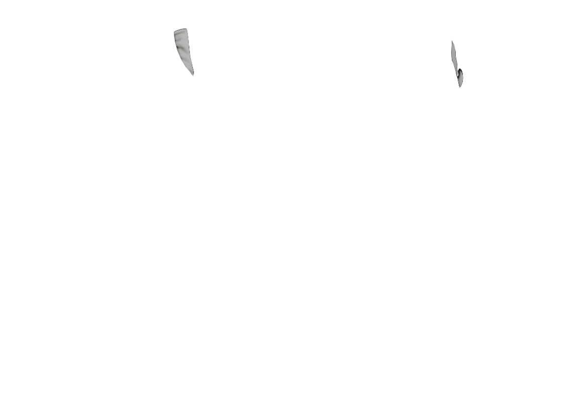 CPants-07-BRFO.png