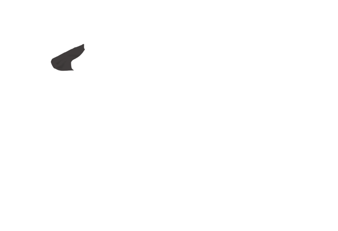 DAGR-JA-02.png