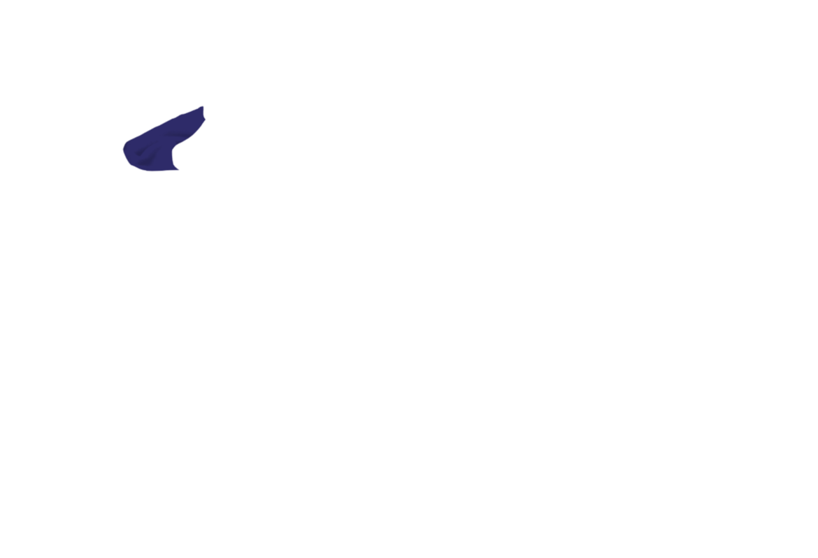 OPWA-JA-02.png