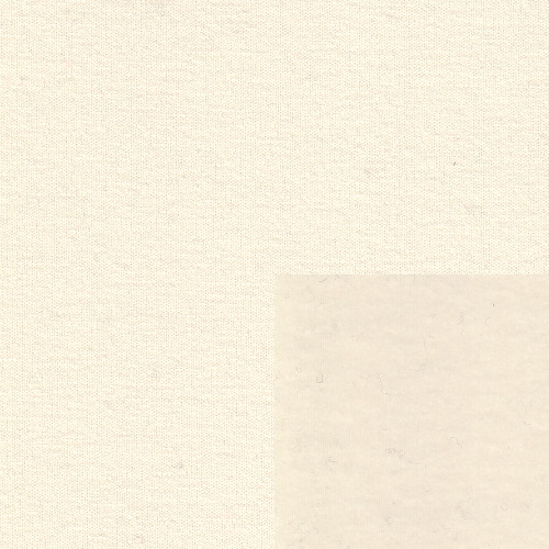 Swatch-WHIT-PS-500px-96ppi-1.jpg
