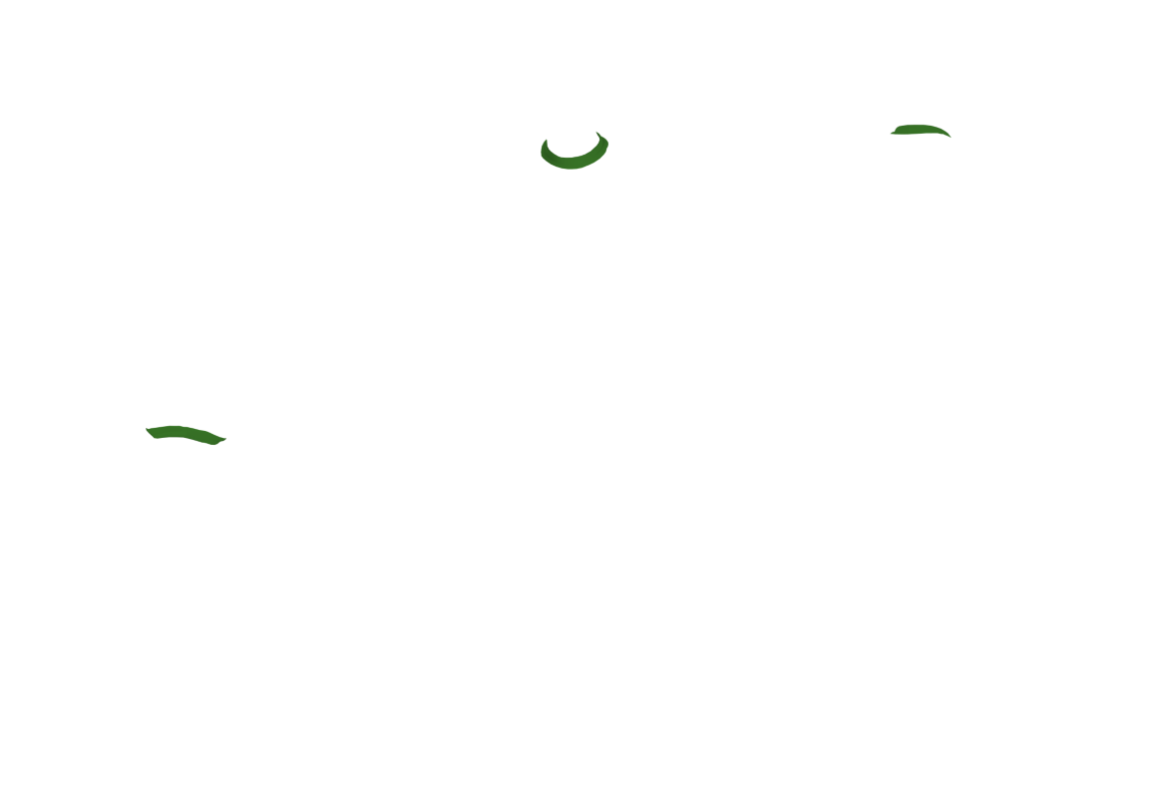 AMGR-01-1.png