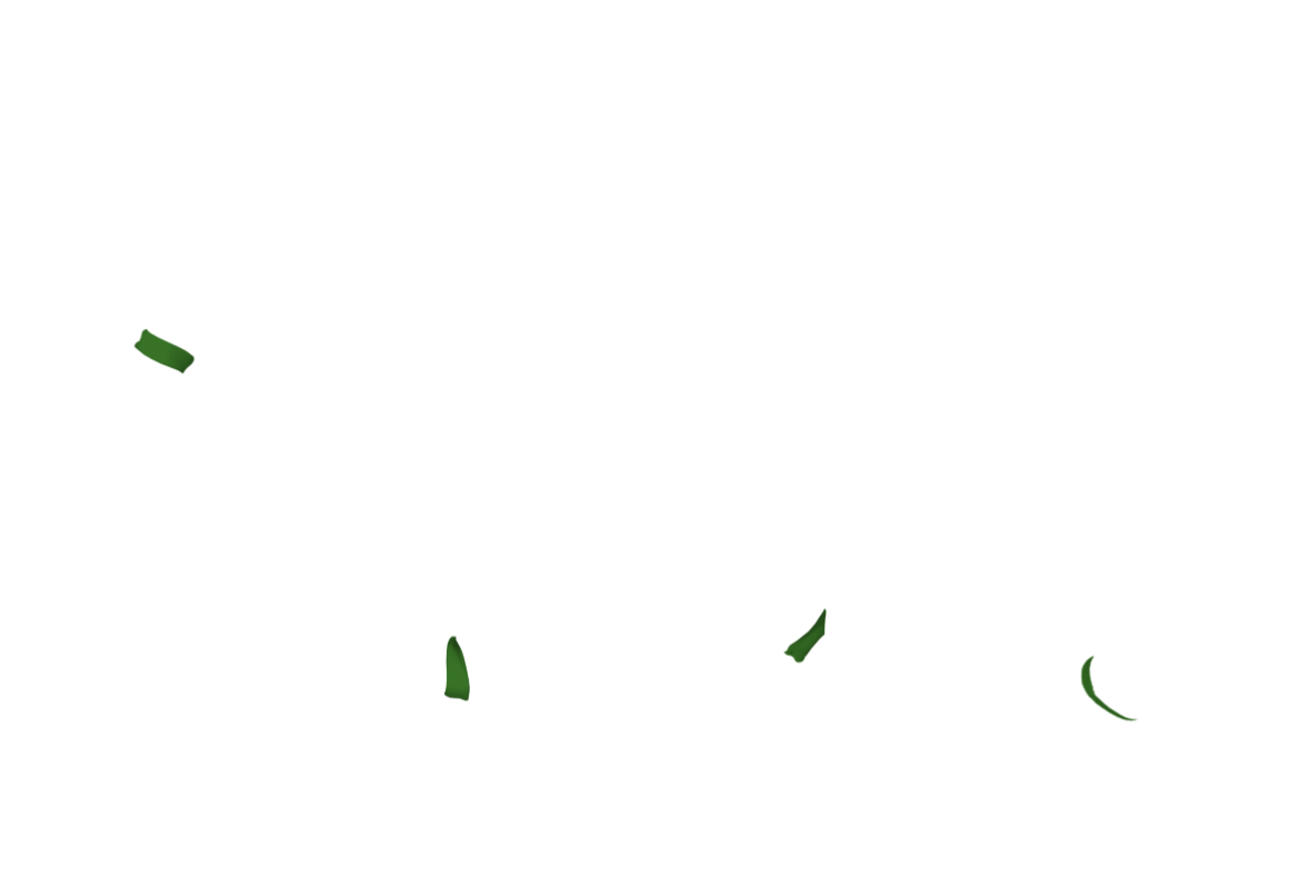 AMGR-HO-07.png