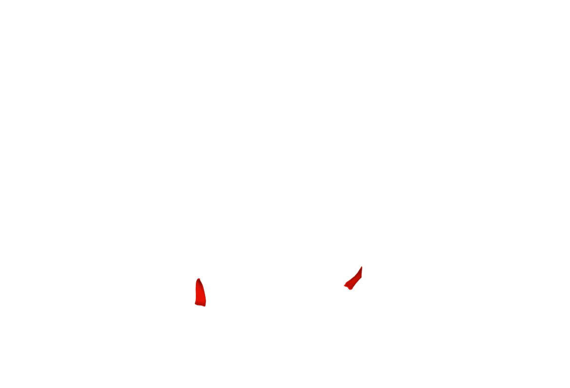 HABA-07a-1.png