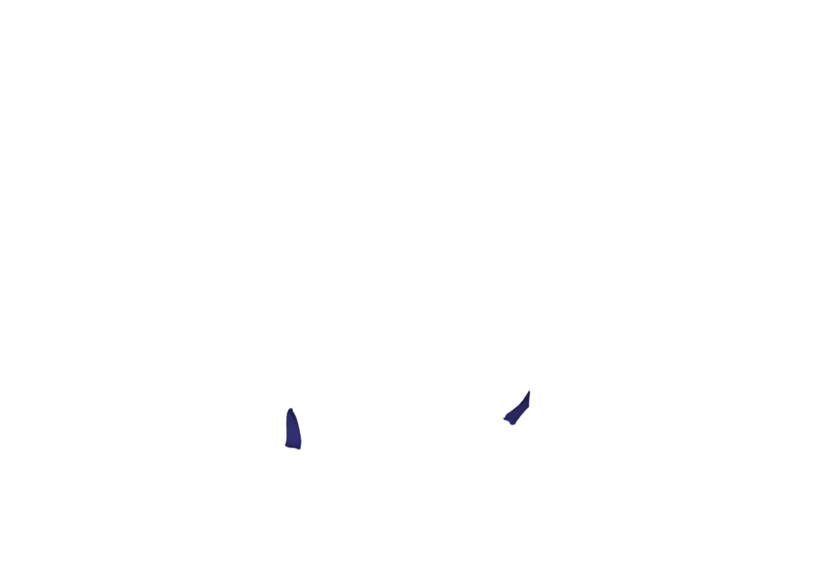 OPWA-07a-1.png
