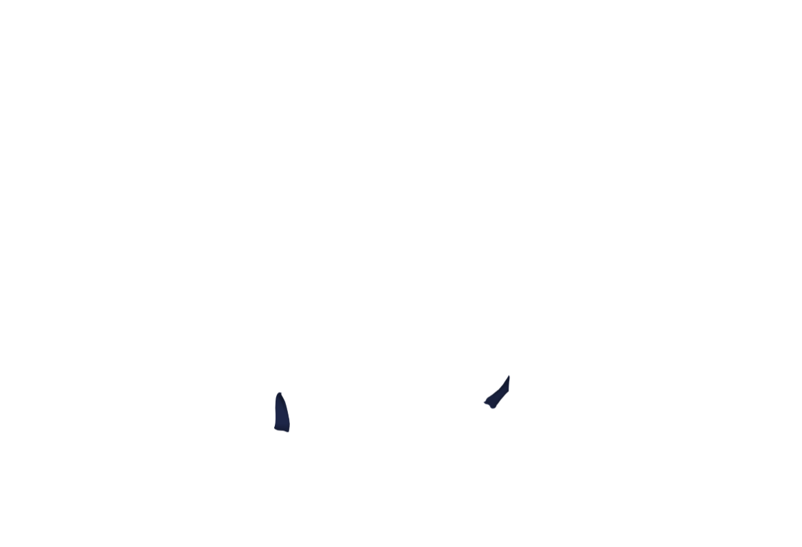 ROYA-07a-1.png