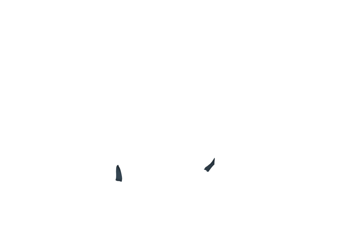STEE-07a-1.png