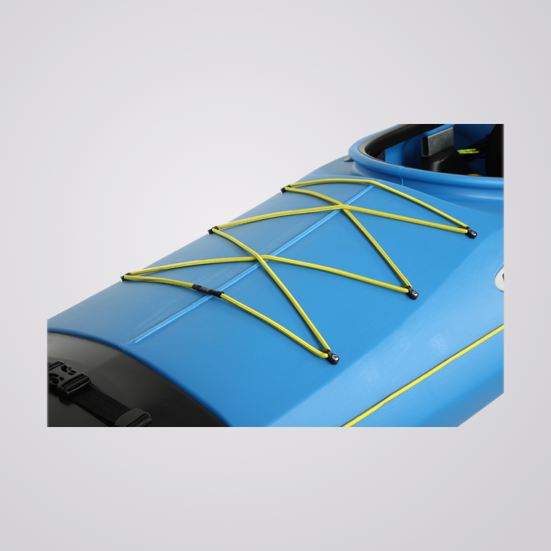 ExEvo_Detail_Webbild_1_grey.png