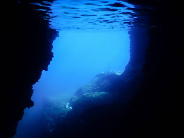 Was will man mehr? Seekajaken und Schnorcheln mit meeresbiologischer Begleitung auf Dugi Otok in Kroatien!