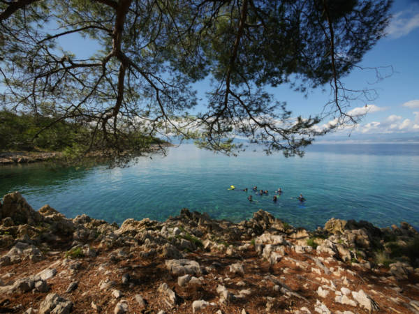 Was will man mehr? Seekajaken und Schnorcheln mit meeresbiologischer Begleitung auf Dugi Otok in Kroatien!