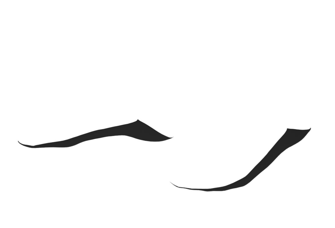 ASPH-SO-02.png