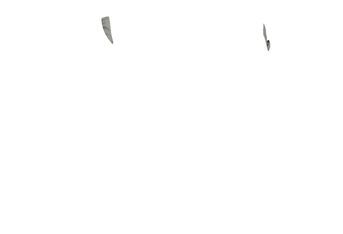 ASSI-CP-04-1.png