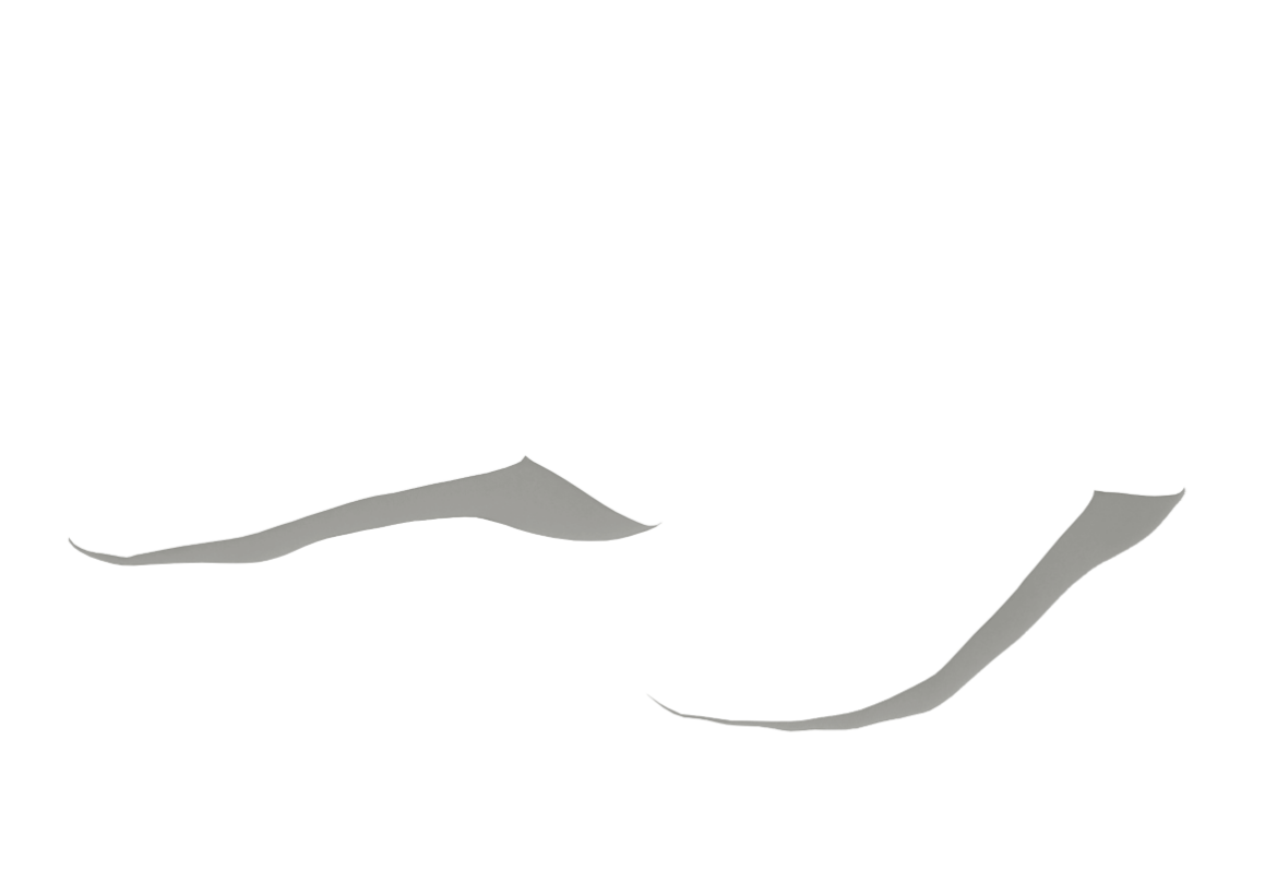 ASSI-SO-02.png
