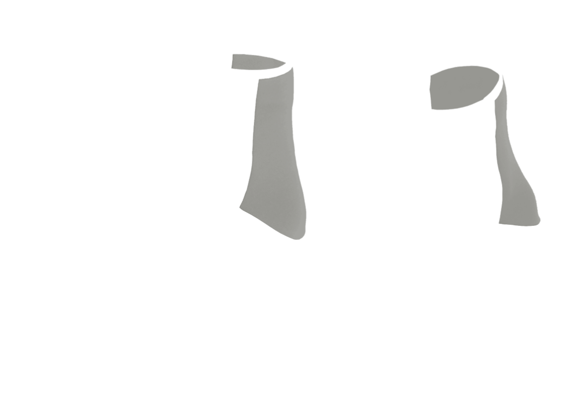 ASSI-SO-03.png