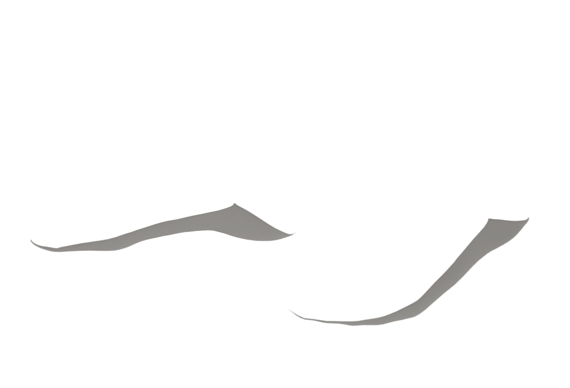 BRFO-neu-SO-02.png