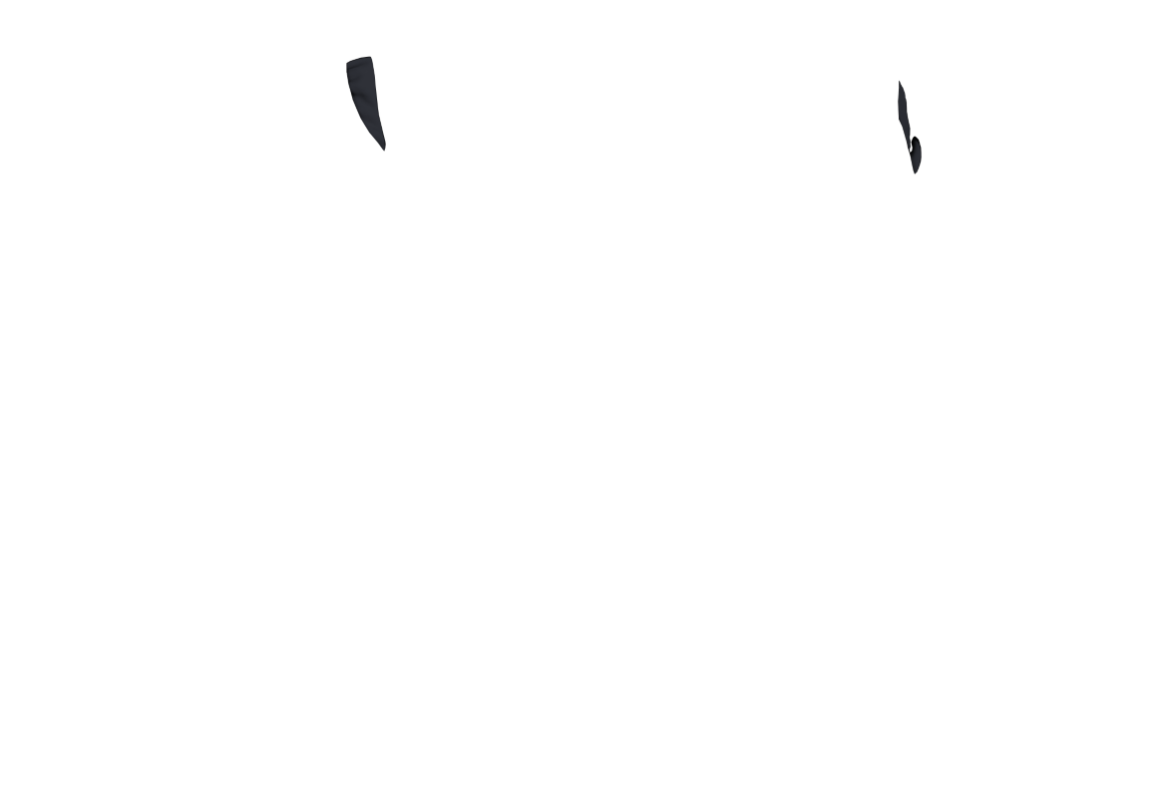 DASA-CP-04-1.png