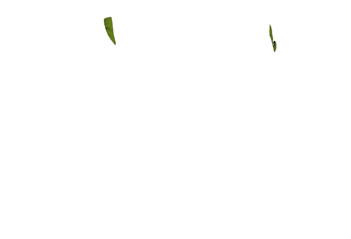 GREN-CP-04-1.png
