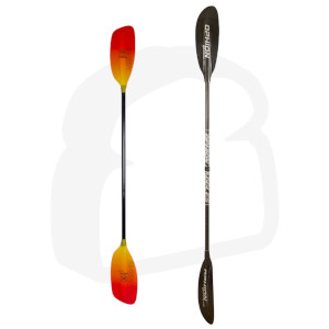 Paddel-Doppel-300px-96ppi.jpg